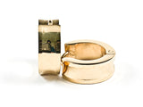 Modern Dainty Shiny Metallic Geometric Finish Gold Tone Steel Huggie Earrings